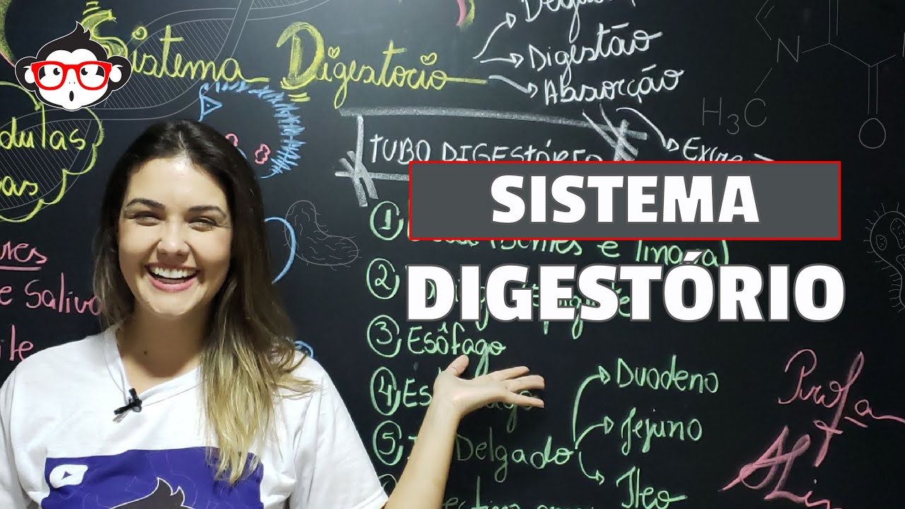 Sistema Digest&oacute;rio 📚🐵