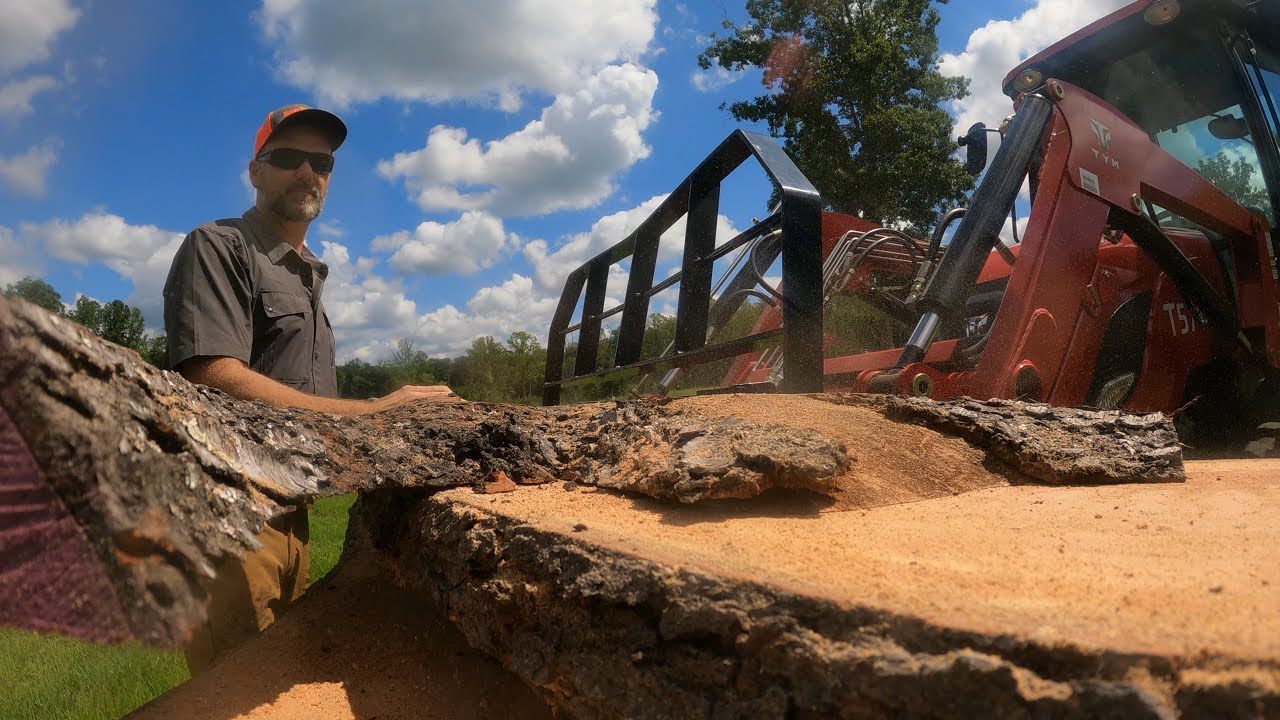 Sawmilling 3 huge wild cherry logs and found something amazing!