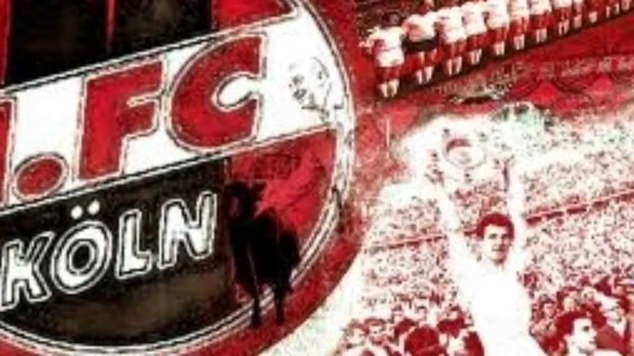 1.FC Köln ist mein Verein