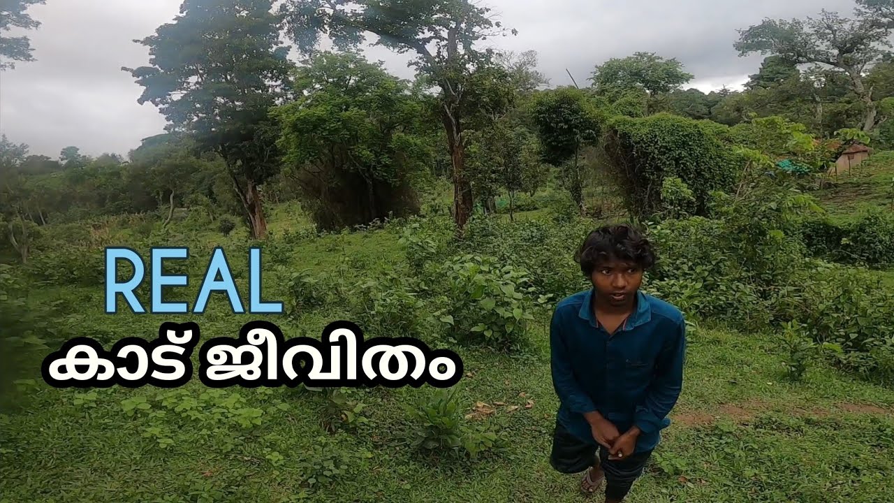 22 കുടുംബങ്ങൾ ഇന്നും ഈ കാട്ടിൽ താമസിക്കുന്നു