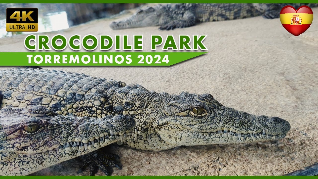 CROCODILE PARK Torremolinos Spain 2024 [4K] Must-See: BRAVE MAN + LOUD JAW POPS