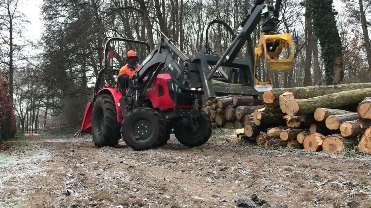 Holzernte im Erlenbruch | Waldarbeit bei Frost