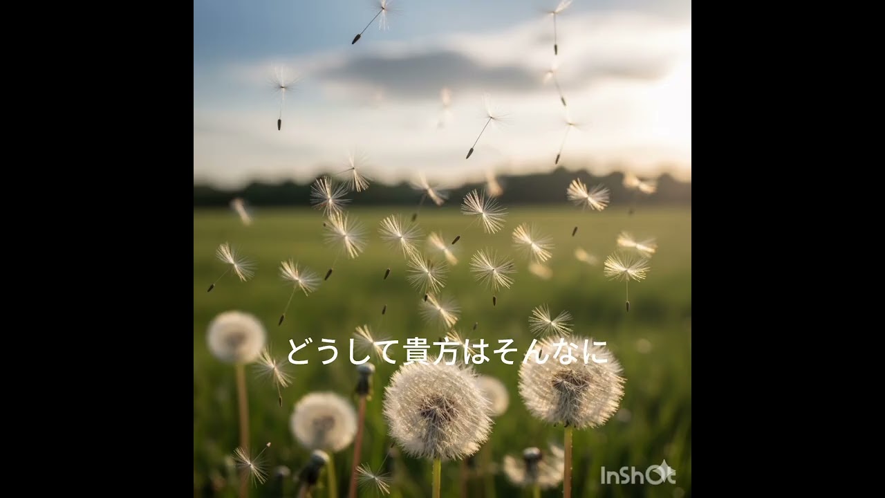 綿毛