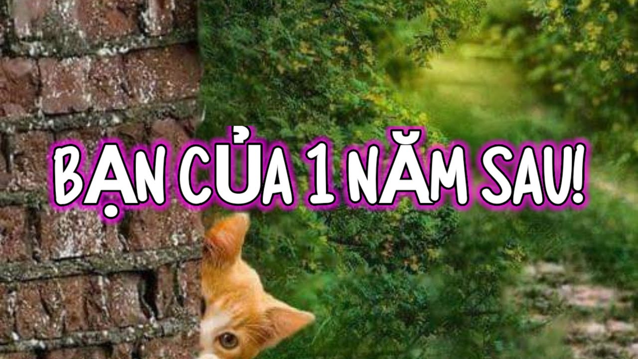 BẠN CỦA MỘT NĂM SAU ?