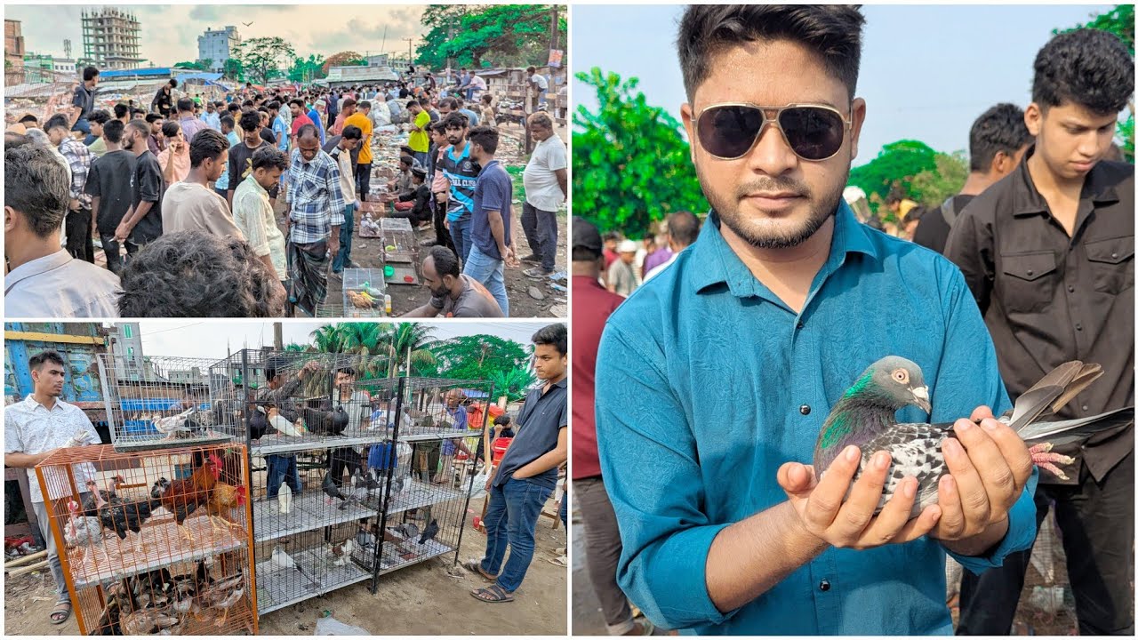 এই প্রথম গেলাম কবুতর বাজার কাজির হাট চট্টগ্রাম 🤢