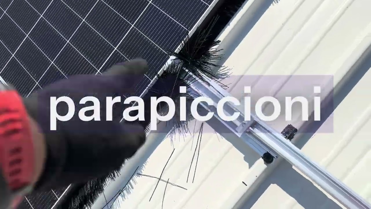 Fotovoltaico e Piccioni quali rischi !!!!