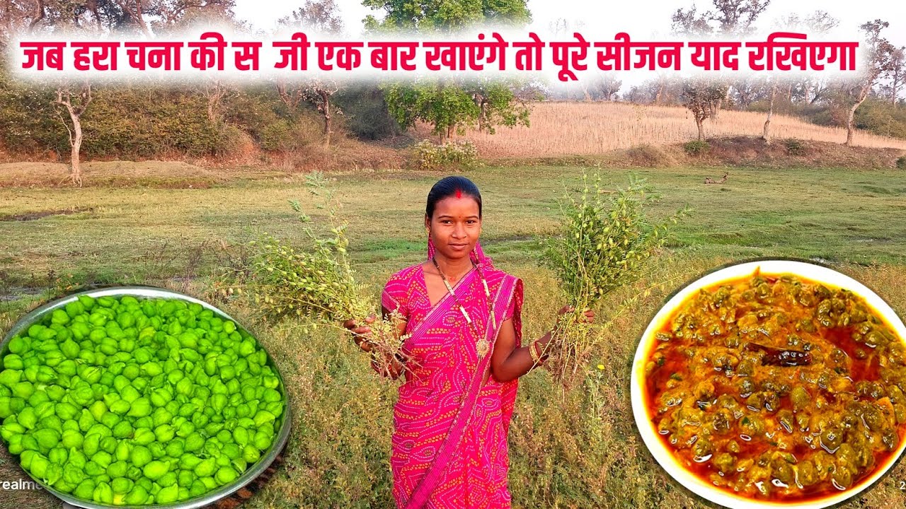 ताज़ा हरा चना की स्वादिष्ट सब्जी recipe || बारी से तोड़ क़े लाया गया है || sona charu vlogs || #recipe