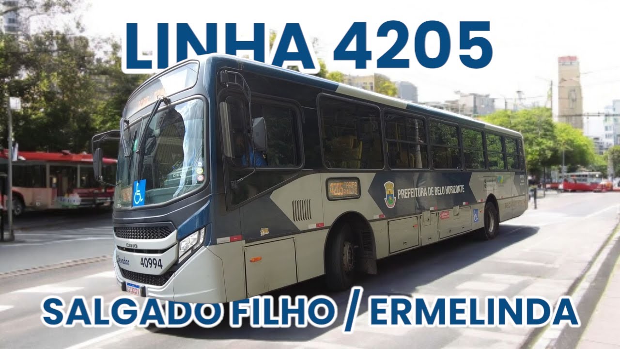 Linha 4205 | Salgado Filho / Ermelinda