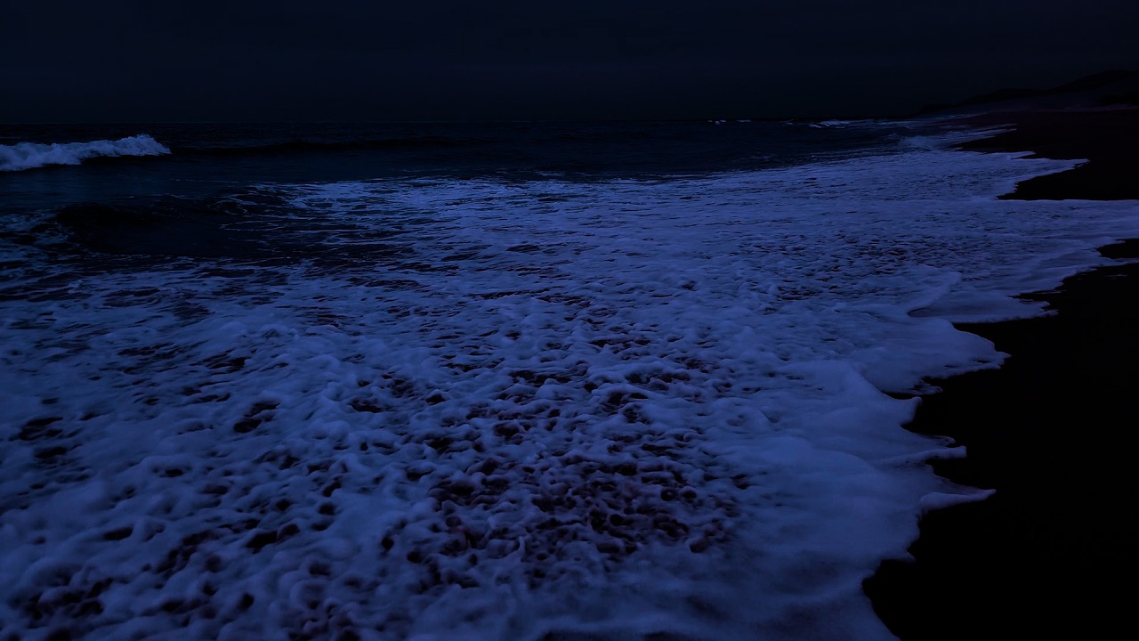 Ocean Sounds to Ease Your Night 🌊 Sleep Deeply & Relax