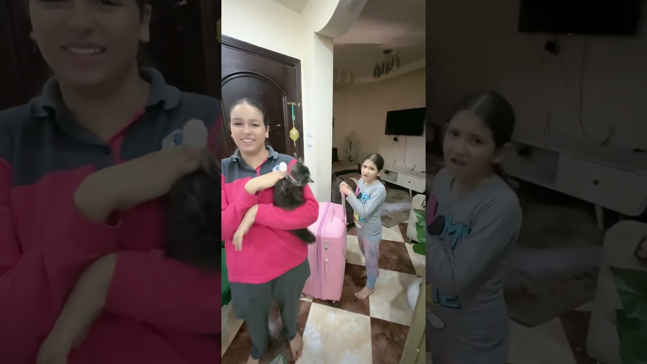 مجرد خلاف بسيط.. وبنتي أعلنت الرحيل الرسمى لاتيتا !😂