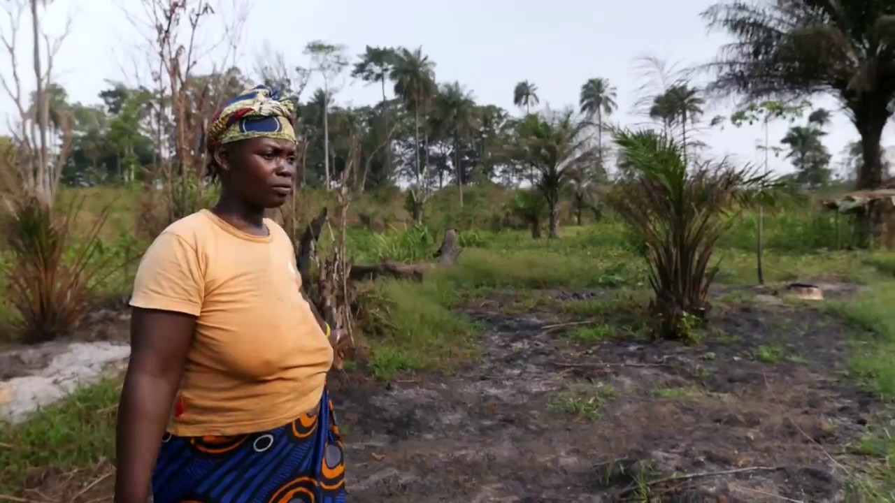 David gegen Goliath: Wie Farmer in Sierra Leone gegen Landgrabbing vorgehen