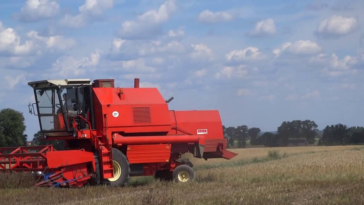Żniwa 2016 // Zbiór facelii // Bizon Rekord ZO58 #2