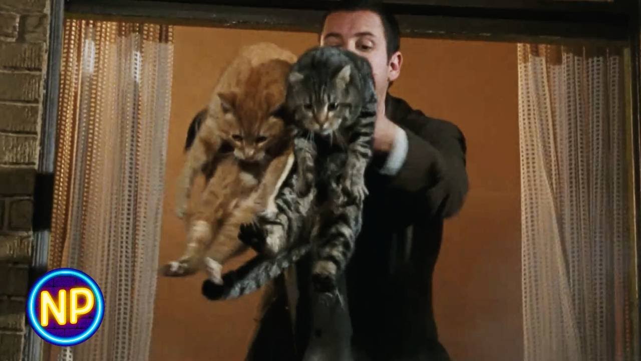 Mr. Deeds | Saving Cats From an Apartment Fire