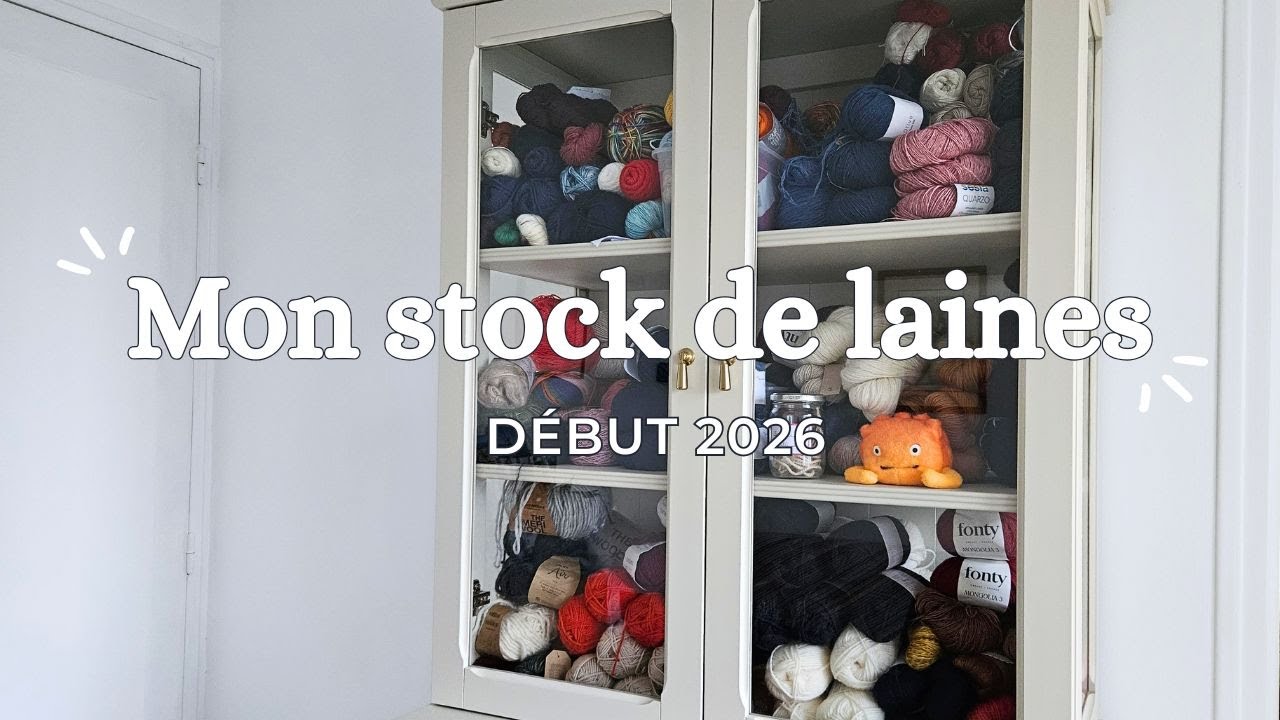 Mon stock de laines 2026 - projections, interrogations et bonnes résolutions !