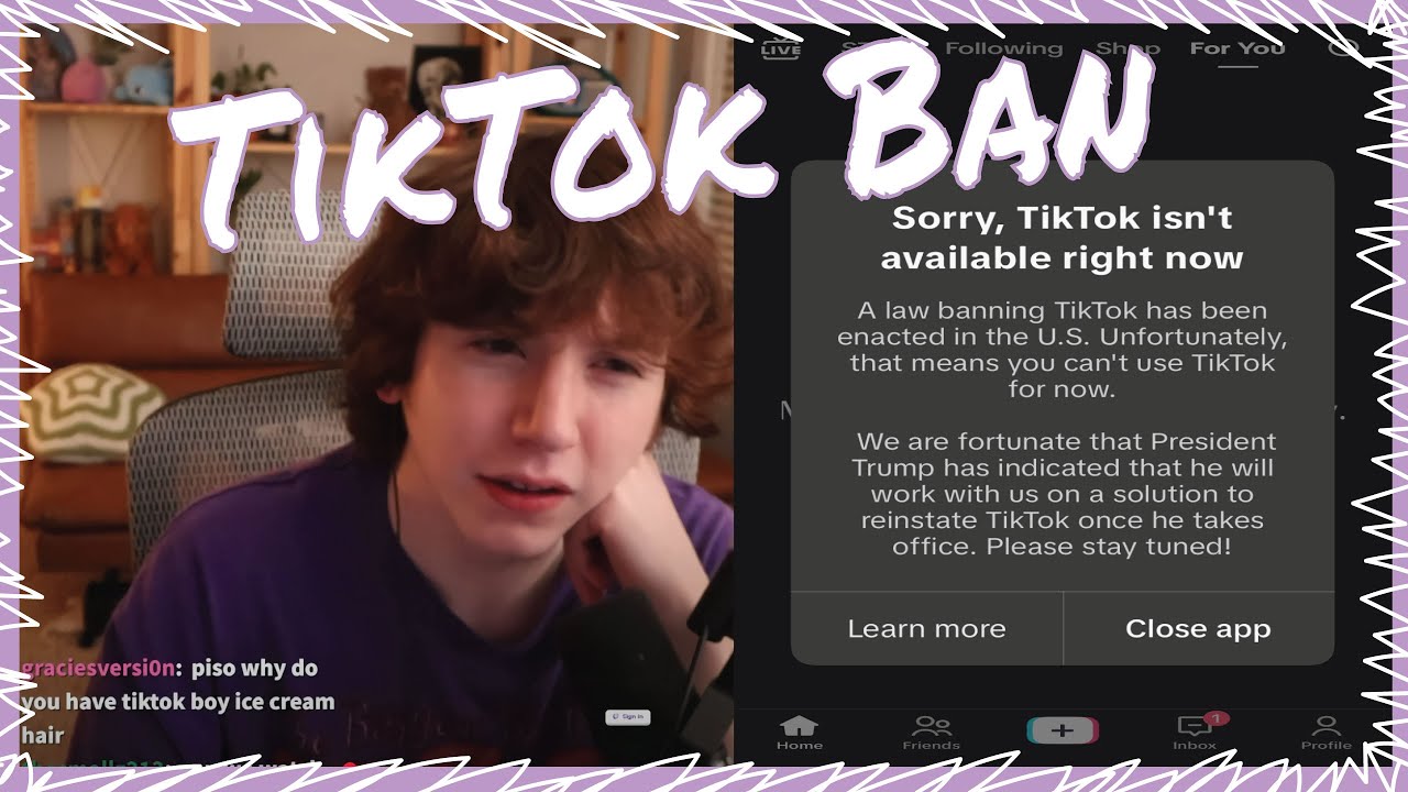 showing you my TikTok likes for the last time... (January 18th 2025)