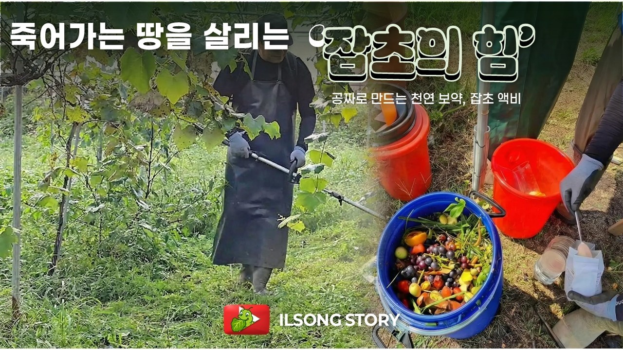 죽어가는 땅을 살리는 '잡초의 힘'