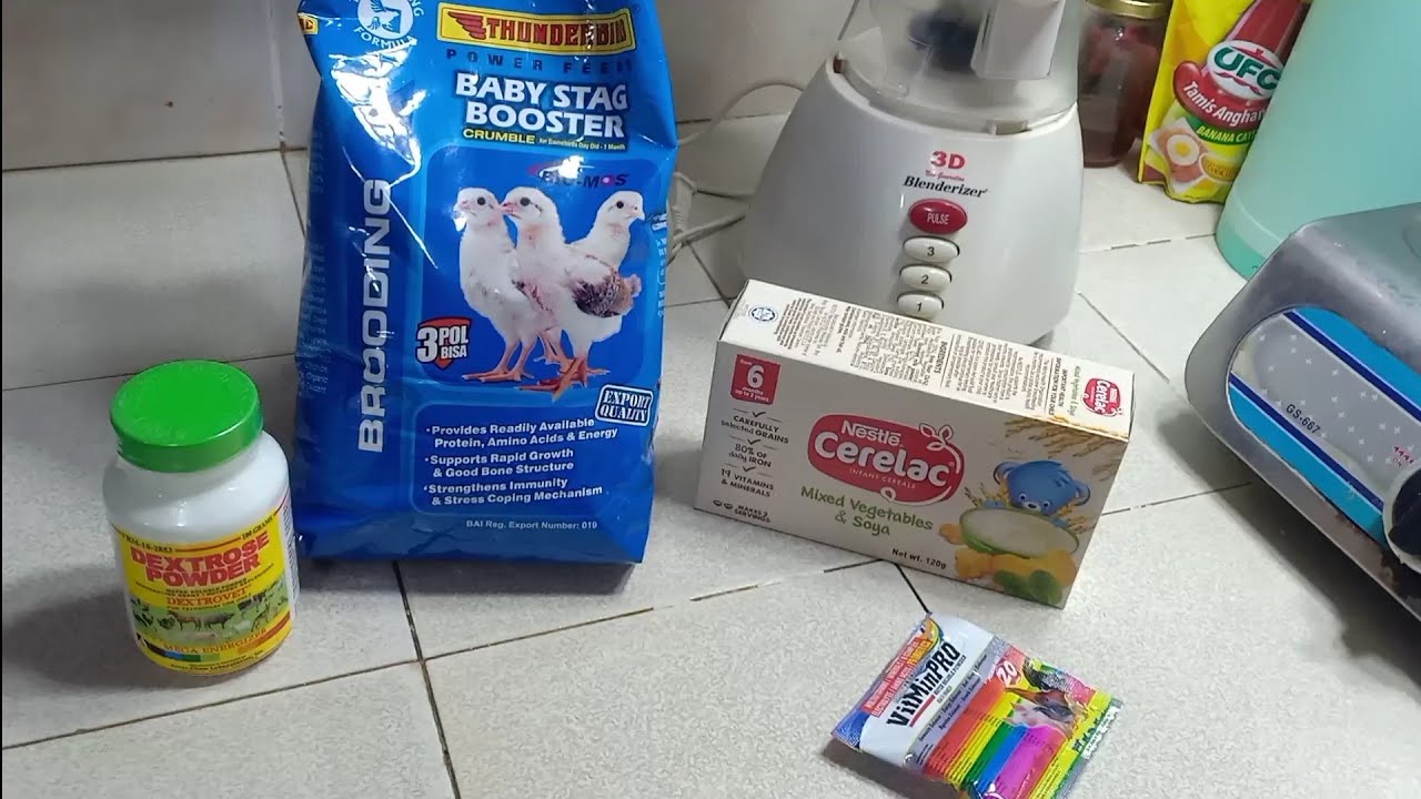 PAANO GUMAWA NG FORMULA SA HANDFEED BIRDS | MGA KAILANGAN SA PAG GAWA NG FORMULA