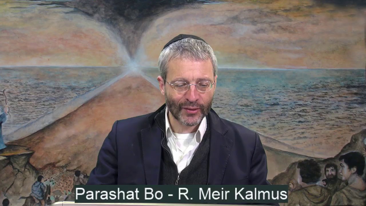 Parashat Bo - Ao Vivo R Meir Kalmus