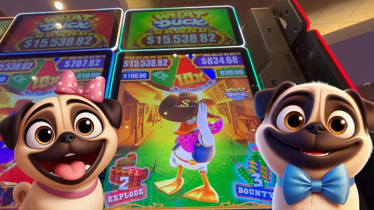 Is SNOWY Feeling SASSY?  What the Duck Snowy Slot Machine | Gambling Pugs