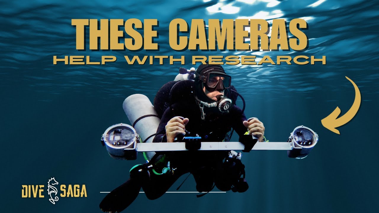 Technical Research Diving in Utila Honduras