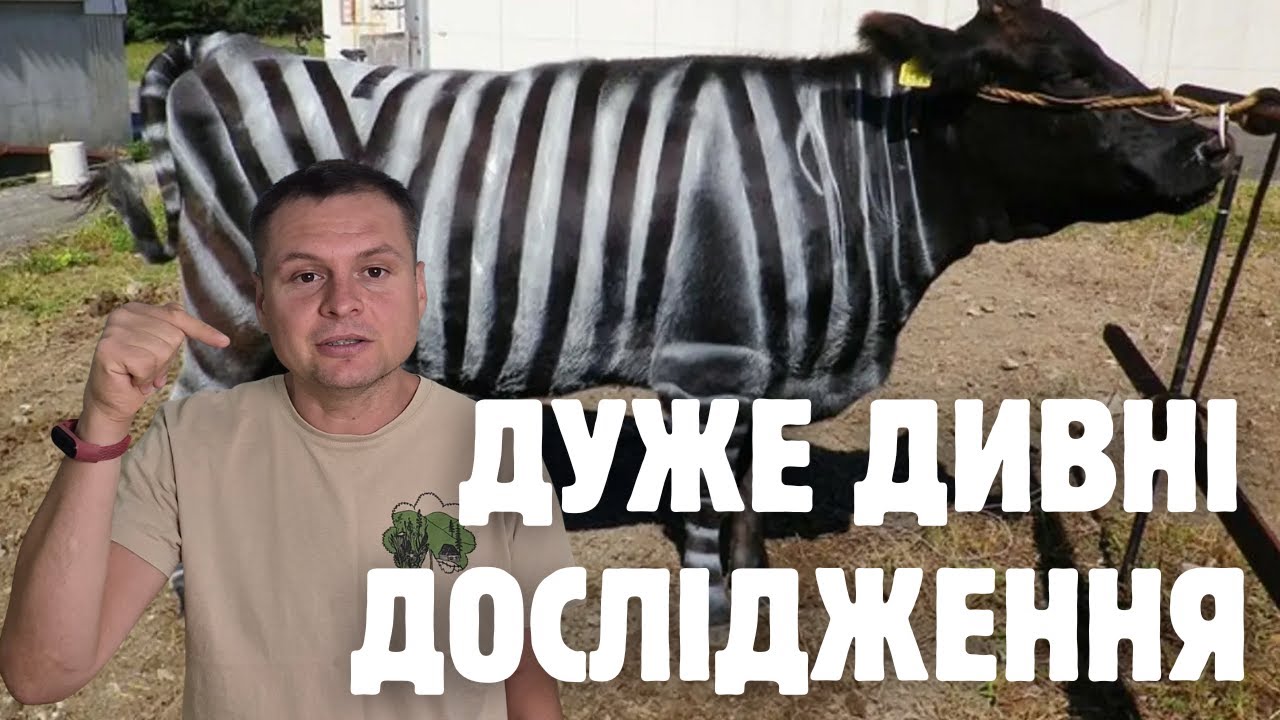 Вчені радять їсти тефлон та фарбувати корів, малюки люблять молоко з часником: Огляд Іґнобелівки
