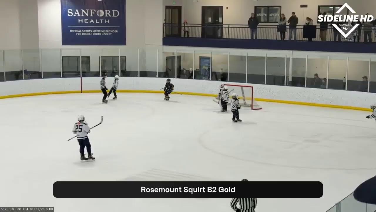 RSMT Squirt B2 Gold @ Bemidji White (2026.01.31)