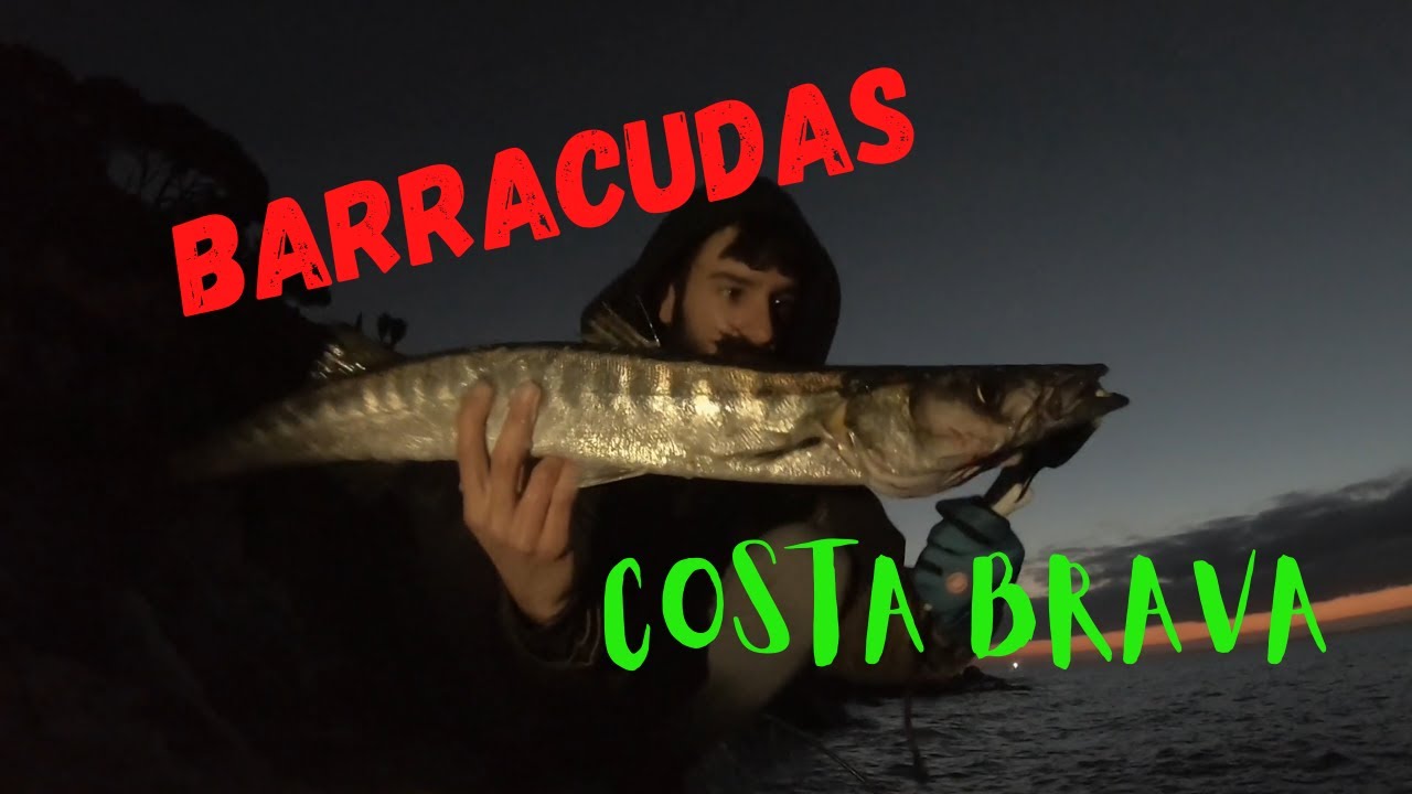 Primeras BARRACUDAS de la TEMPORADA con JERKMINOW || COSTA BRAVA