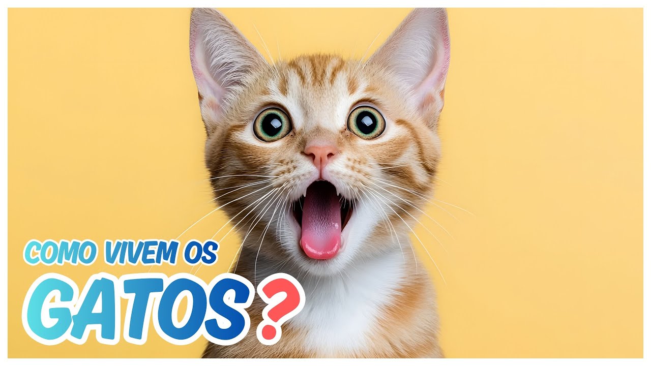 GATOS - CURIOSIDADES E FATOS INCRÍVEIS