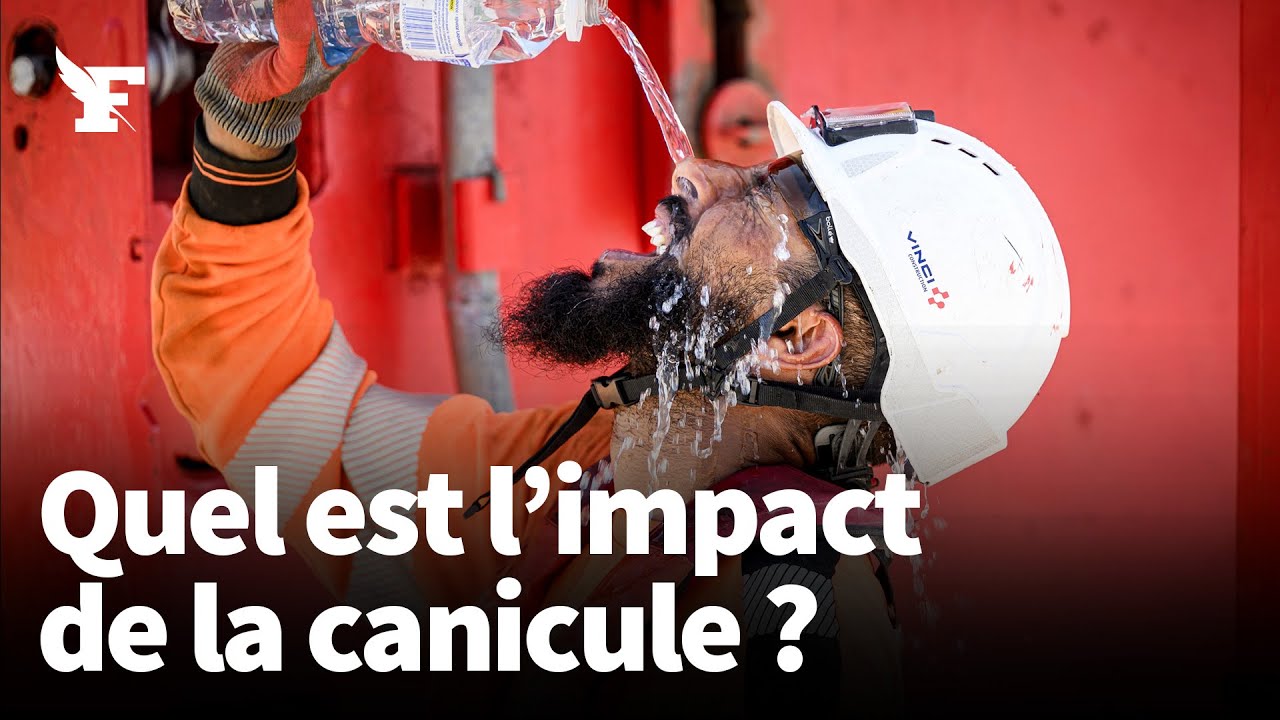 Comment la canicule pénalise l’économie française
