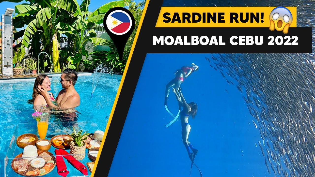 CHEAPEST Airbnb Suite with Floating Breakfast & SARDINE RUN! 😮 LRS Moalboal Cebu 🇵🇭 | Day See
