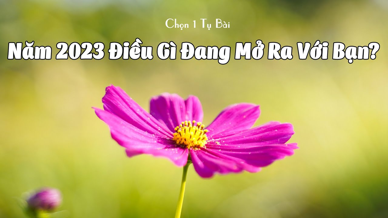Năm 2023 Điều Gì Đang Mở Ra Với Bạn?