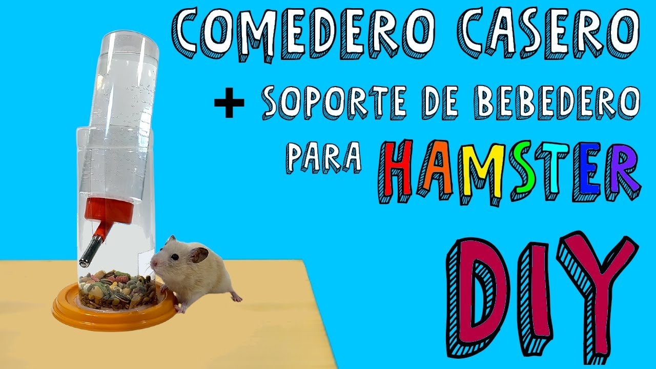 Cómo Hacer un Comedero con Soporte de Bebedero para Hámsters Fácil