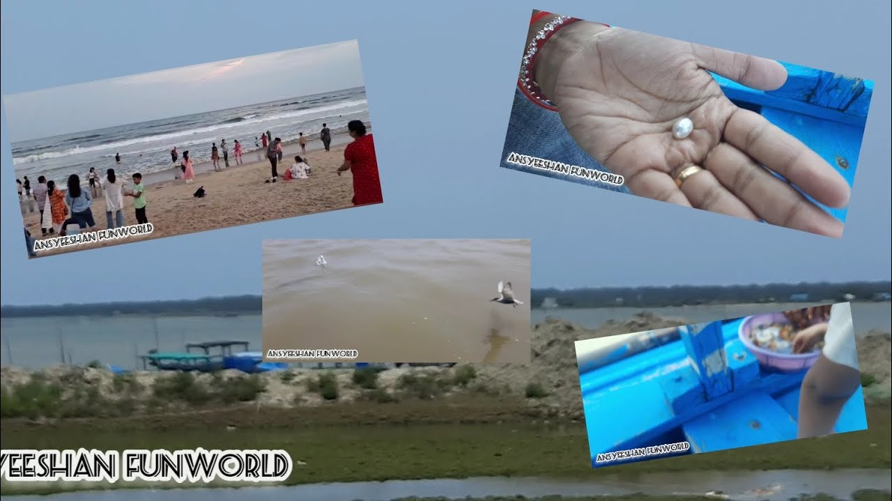 Satapada Vlog #dolphin #boating #pearls #vlog #day #sea