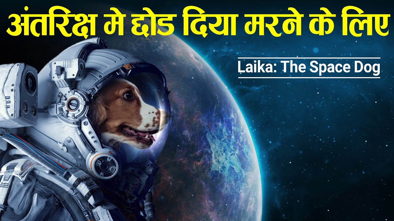 लइका के आखरी पल | Story of Laika the space dog.