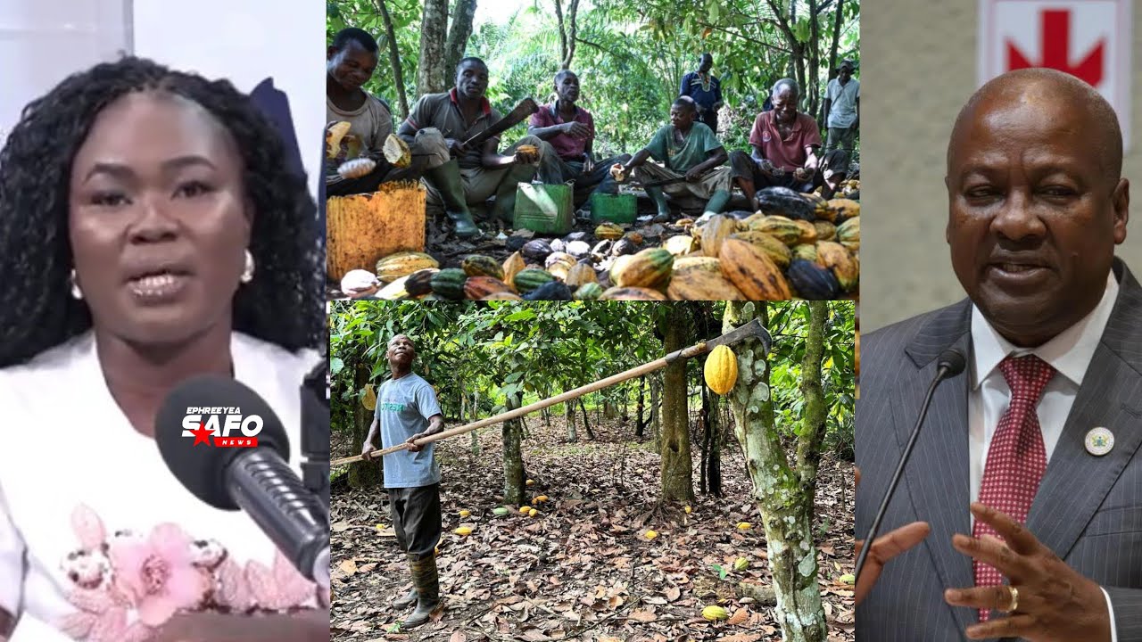 Напряженная ситуация🔥 Махама созывает экстренное заседание кабинета министров, поскольку фермеры,...