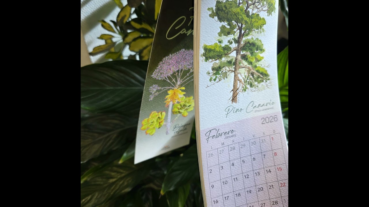 Meterse en un jardín | Joyas de la vegetación canaria
