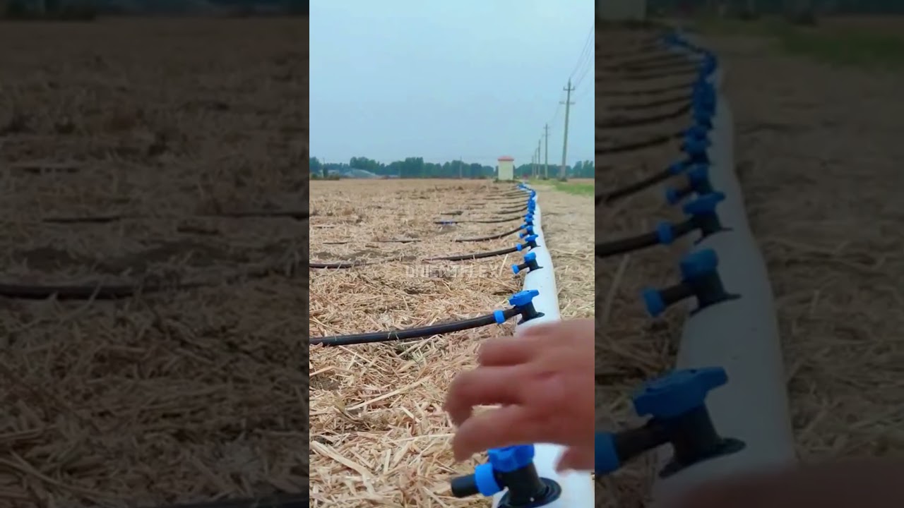 t tape irrigation irrigation tape drip line #shorts #farmer #gardening #lawn #crop