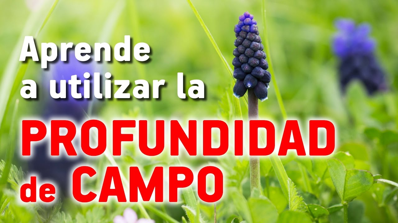 Aprende a utilizar la PROFUNDIDAD DE CAMPO
