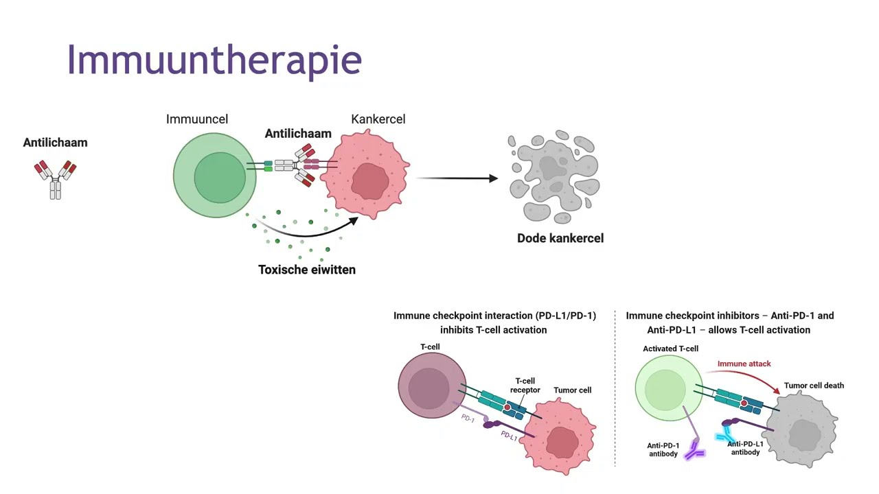 Nieuwste ontwikkeling in gynaecologische oncologie, Olijf Congresdag, 4 oktober 2025