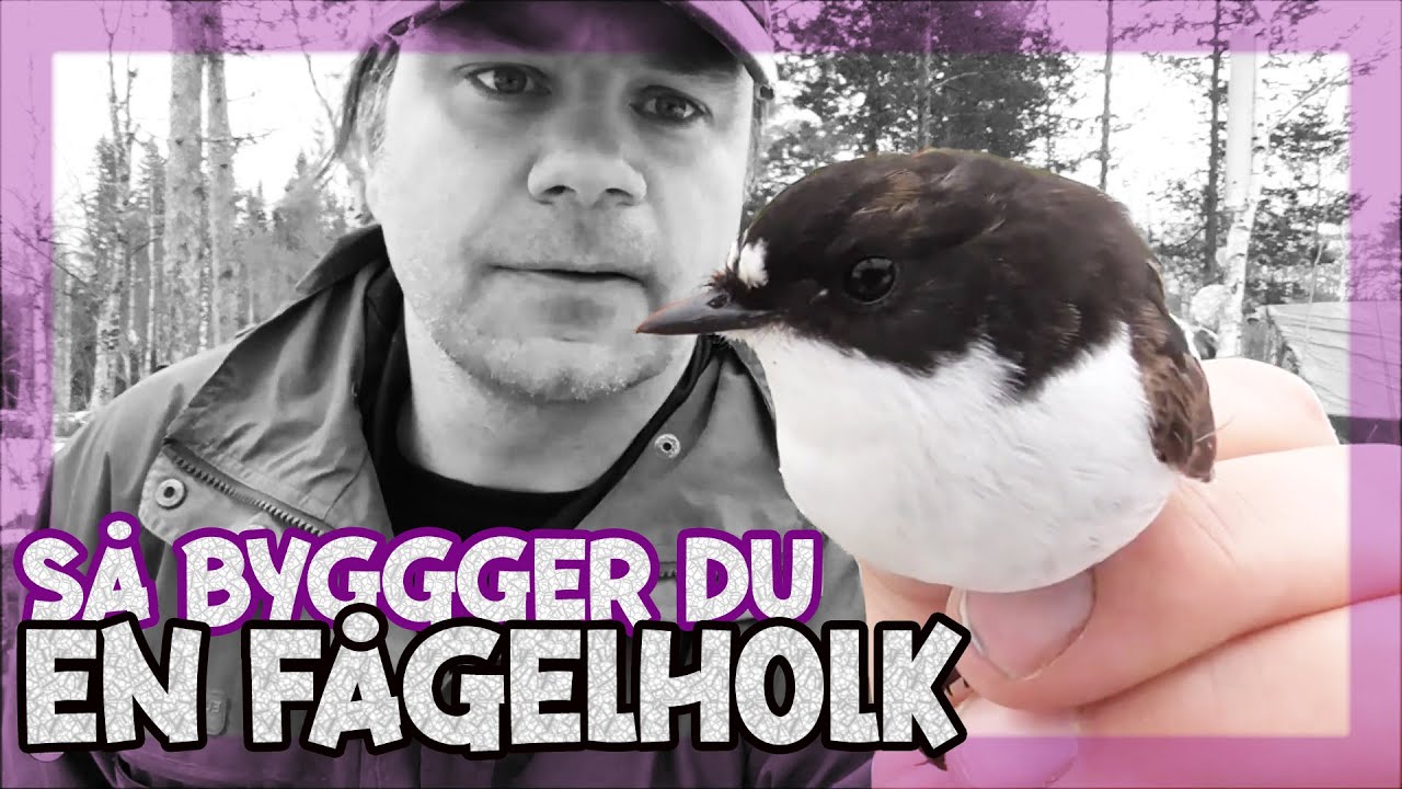 S&aring; bygger du en f&aring;gelholk