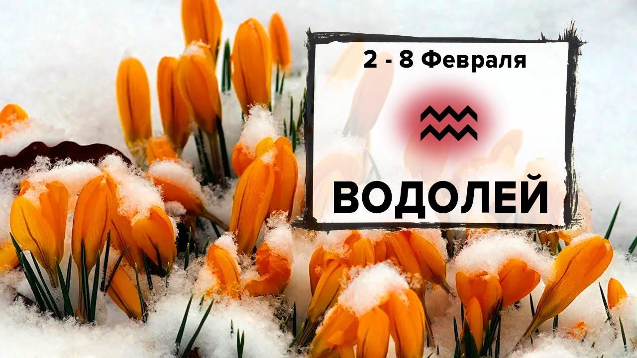 ВОДОЛЕЙ ♒ 2 - 8 Февраля 2026 | Расклад таро на неделю для знака Зодиака Водолей