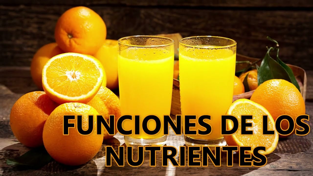 Importancia de los Nutrientes, Clasificaci&oacute;n y Tipos