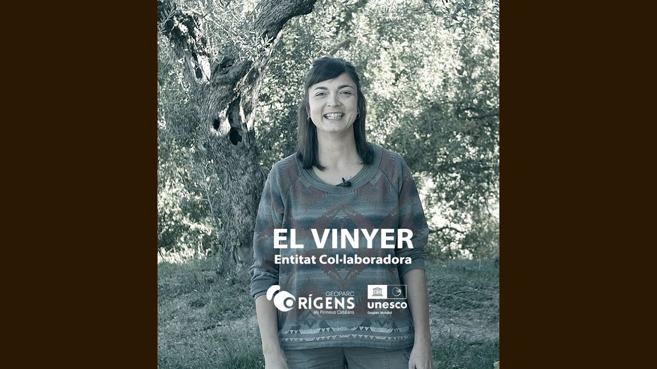 El Vinyer