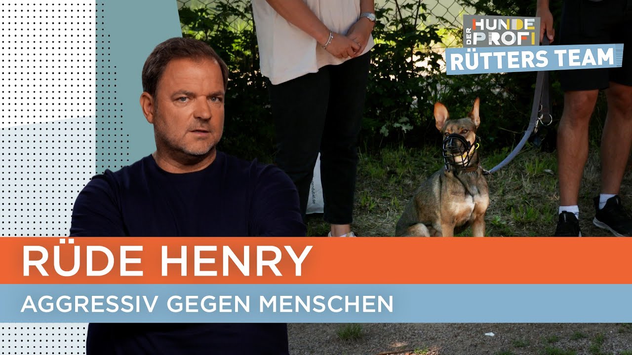 Sogar sein eigenes Herrchen geht der Basenji-Schäferhund-Mix an 😳 | Der Hundeprofi - Rütters Team