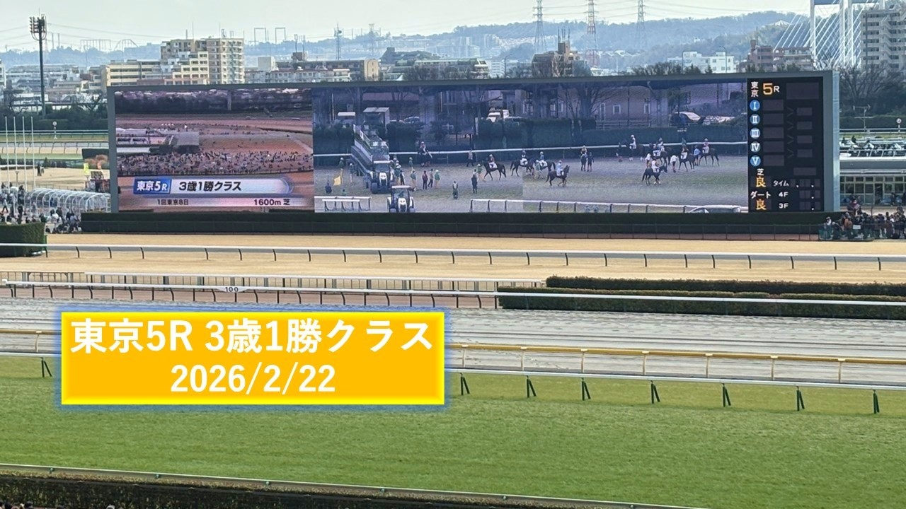 2026年2月22日 | 東京5R 3歳1勝クラス | ゴーラッキー | マゲバスピード | フジガイフウ | 現地レース映像 | 東京競馬場 | スマシ観戦  | 芝1,600