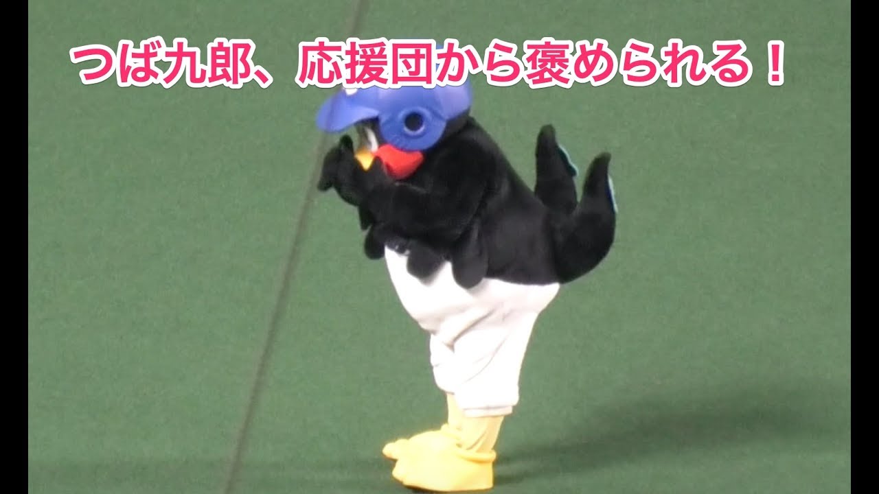 つば九郎、応援団から褒められる！
