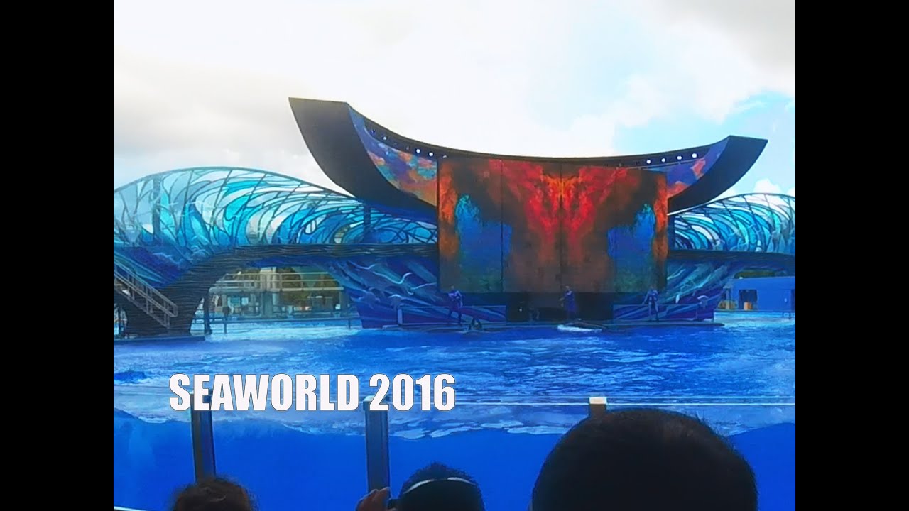 One Ocean (HD) April 2016 // SeaWorld Orlando