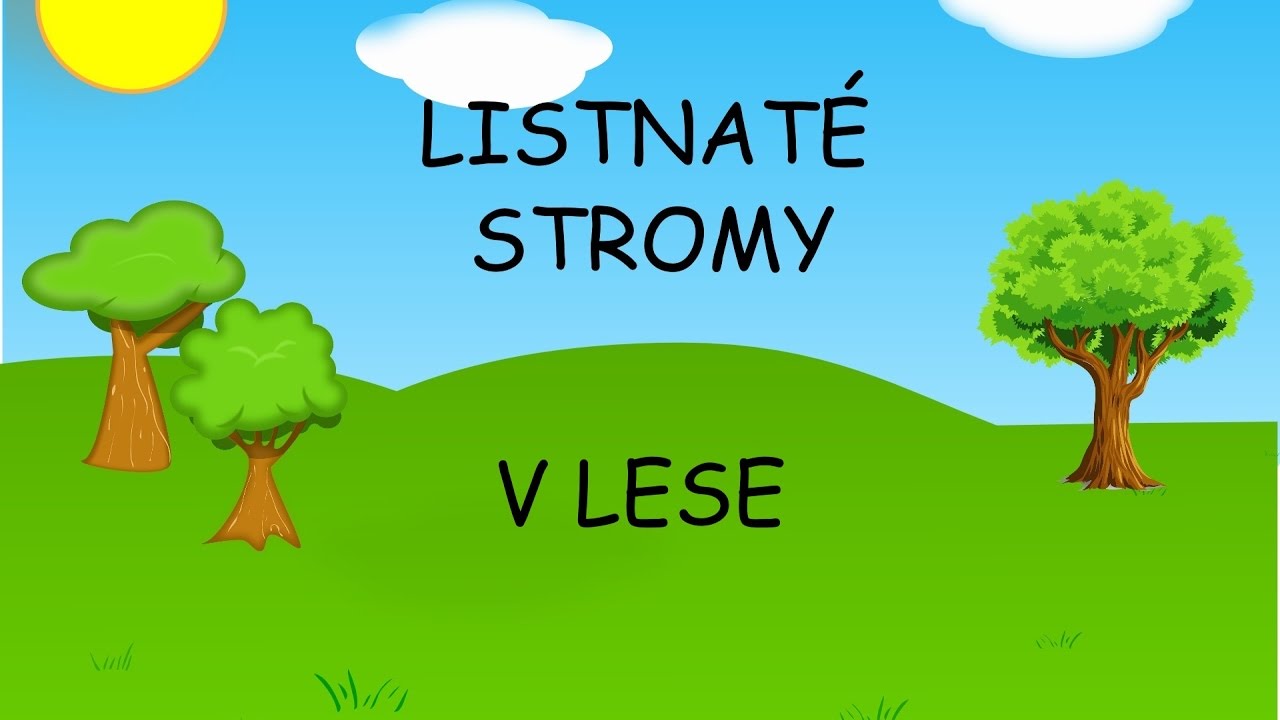 Listnaté stromy - učíme se poznat listnaté stromy v lese
