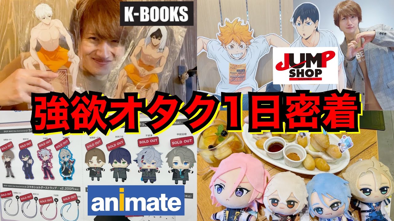 【強欲オタク1日密着Vlog】池袋もアニメイトもグッズ収集もカフェ活もやれる事全部やった男【にじさんじ・あんスタ・原神etc…】