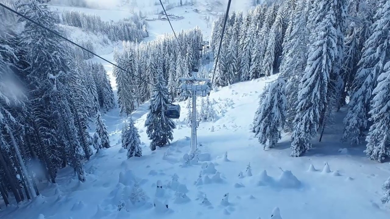 Rodeln in Werfenweng | Dezember 2019